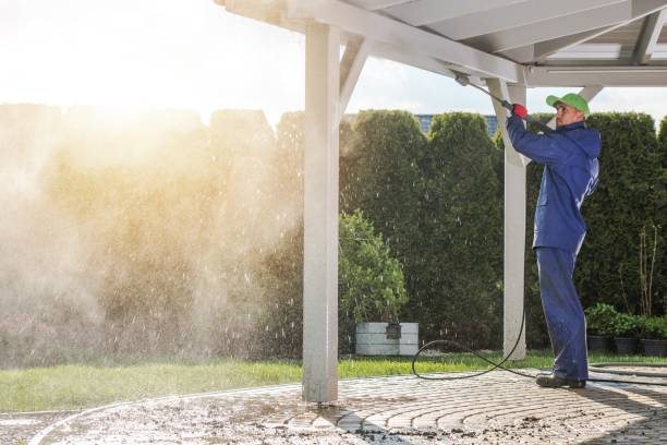 Best Driveway Pressure Washing  in University Park, TX
